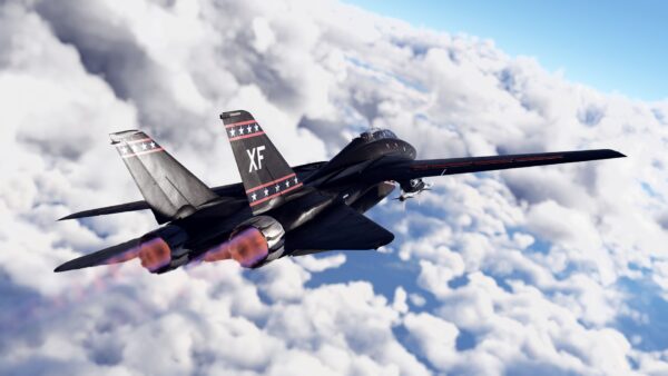 خرید F-14D Pack بازی وارتاندر
