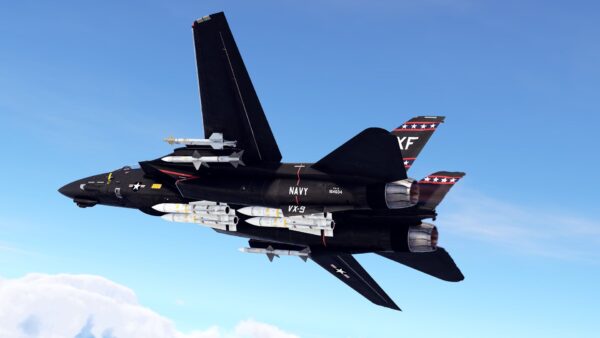 خرید F-14D Pack بازی وارتاندر