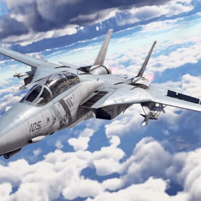 خرید F-14D Pack بازی وارتاندر