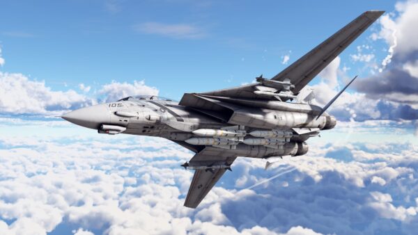خرید F-14D Pack بازی وارتاندر